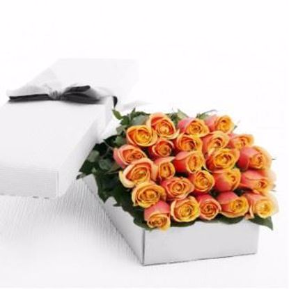 Picture of 36 Peach Tea Roses