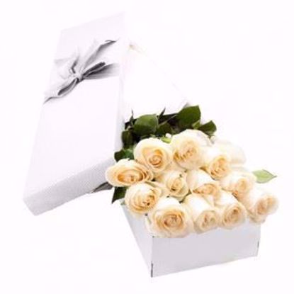 Picture of 12 White Roses